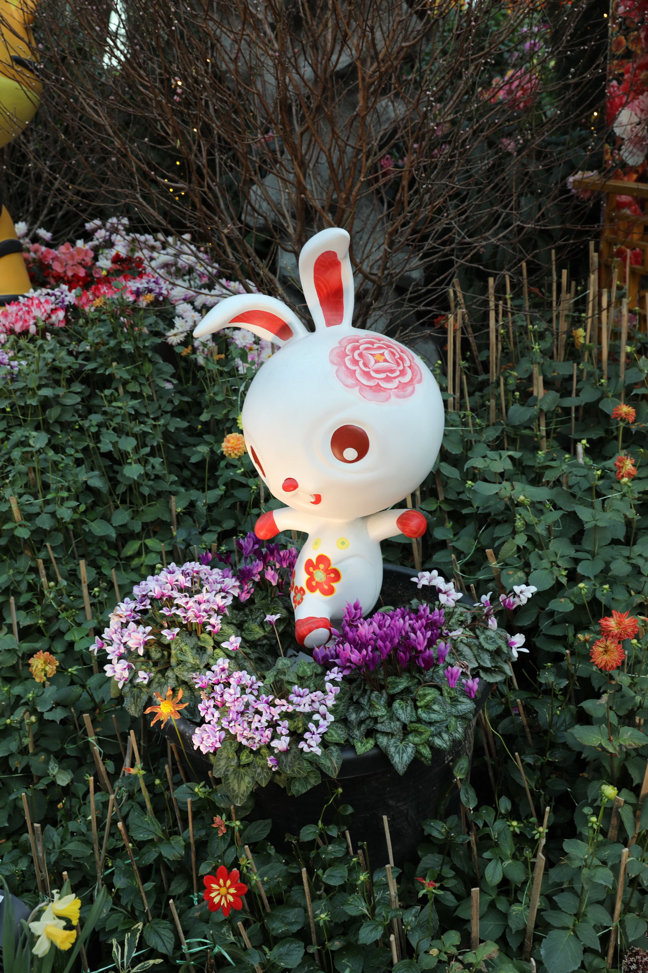 2020 02 03 18 45 30 Canon EOS 5D Mark IV 0061